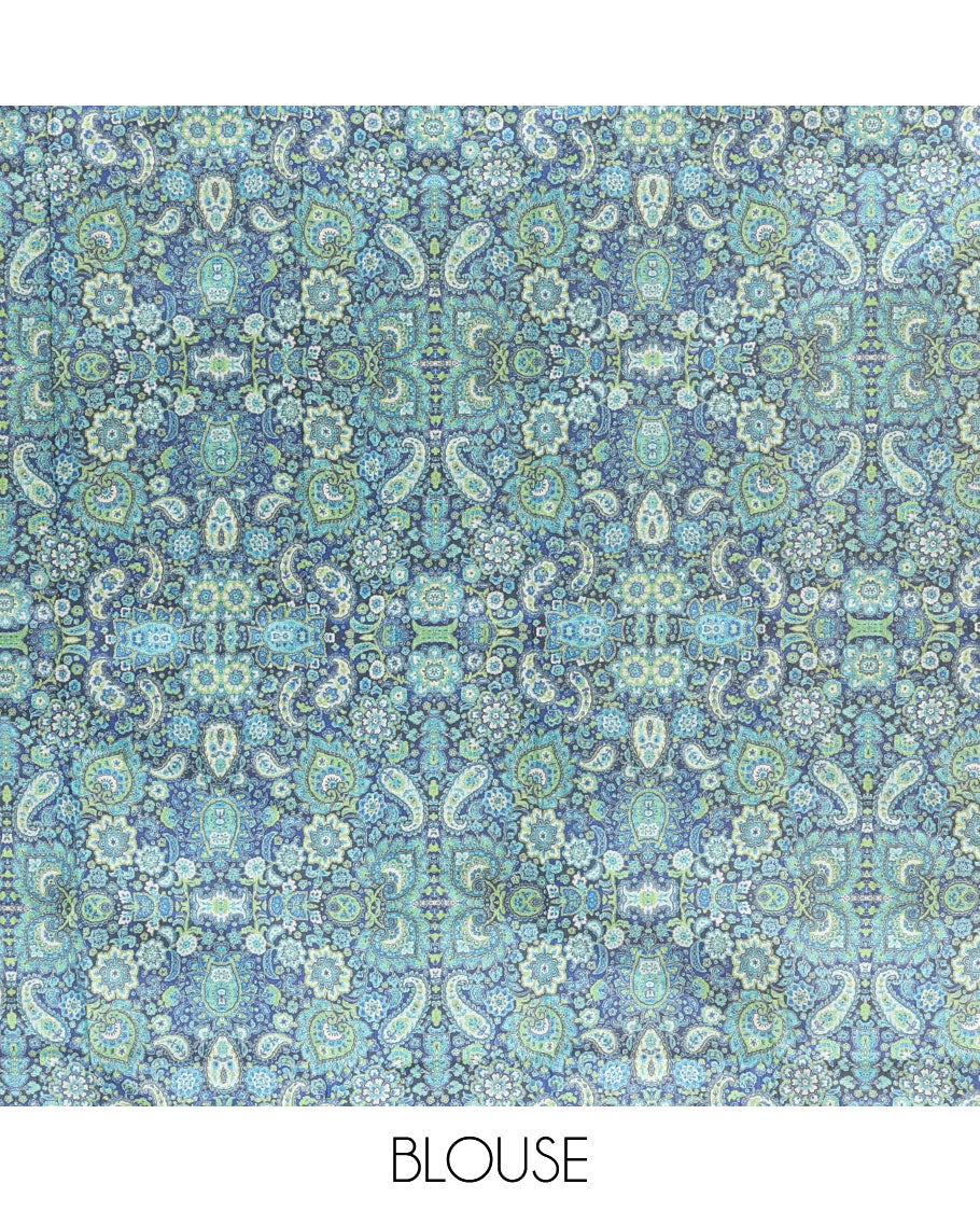 Borderless sky blue plain design kamala silk saree, contrast intricately designed paisley design digital printed blouse