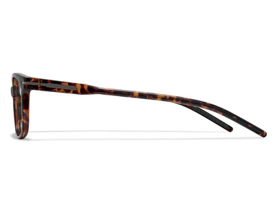 Rainey Eyeglasses Outlet