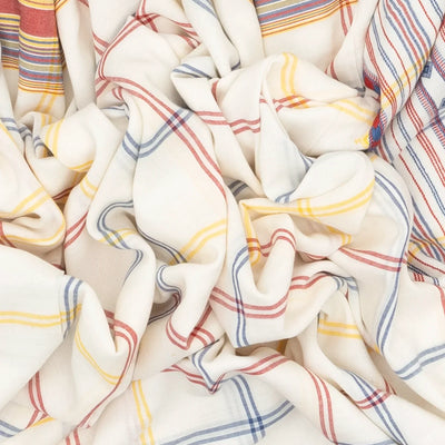 White Handloom Bhujodi Cotton Saree With Checks