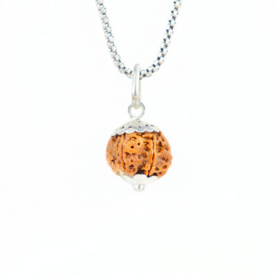 Silver Capping 6 Mukhi Rudraksha Pendant With Chain  ( Nepali )