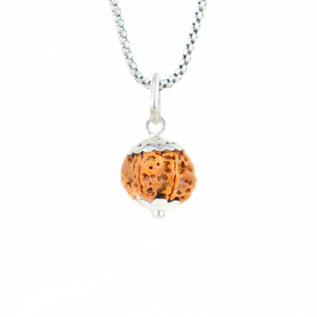 Silver Capping 6 Mukhi Rudraksha Pendant With Chain  ( Nepali )