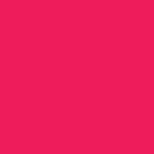 Daisy Contrast Trim Pleated Skirt