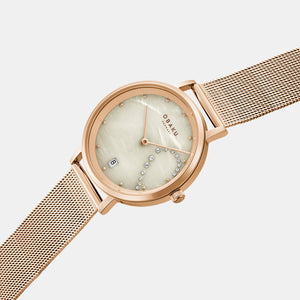 Brink Women Quartz Grey Dial Analog Stainless Steel Watch V248LHVJMV