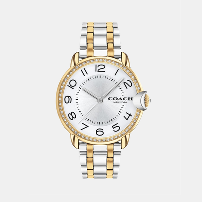 Arden Women Quartz Silver Dial Analog Stainless Steel Watch 14503811