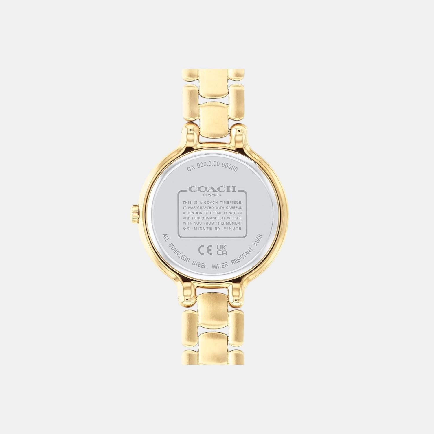 Chelsea Women Quartz Thin Gold Dial Analog Stainless Steel Watch 14504125