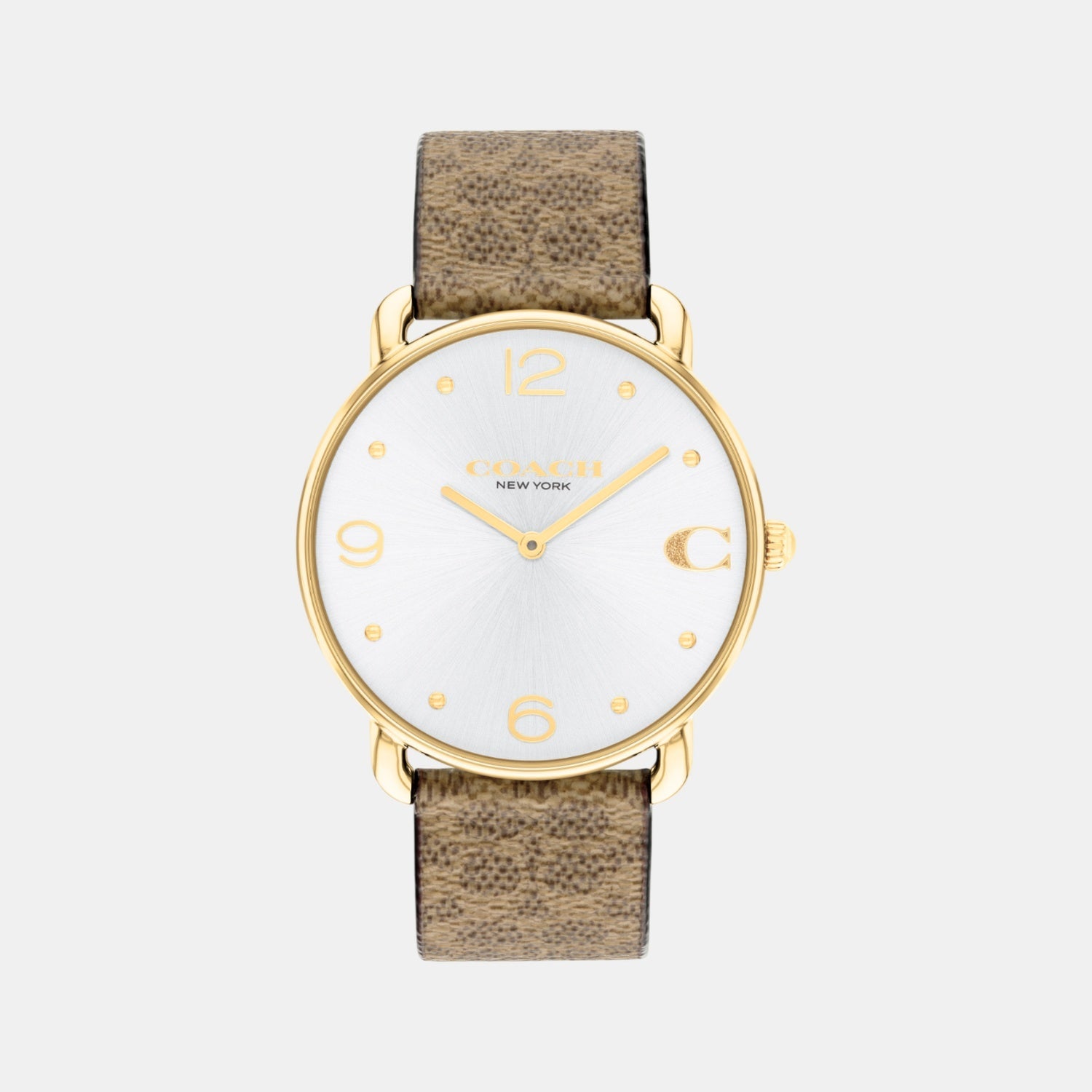 Elliot Women Quartz Silver Dial Analog Leather Watch 14504205