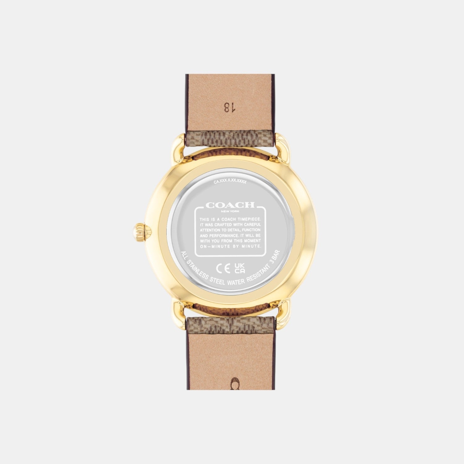 Elliot Women Quartz Silver Dial Analog Leather Watch 14504205