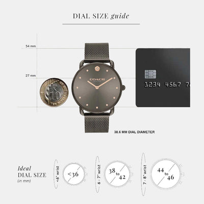 Elliot Women Quartz Grey Dial Analog Stainless Steel Watch 14504210