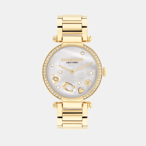 Cary Women Quartz White Mother Of Pearl Dial Analog Stainless Steel Watch 14504265