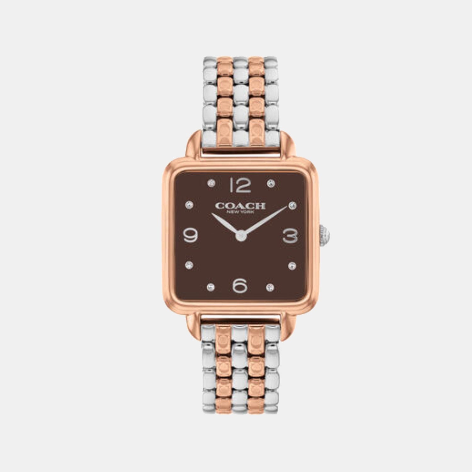 Cass Women Quartz Coffee Brown Dial Analog Stainless Steel Watch 14504543