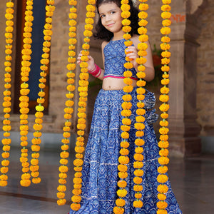 Moana Handblock Cotton Lehenga Set