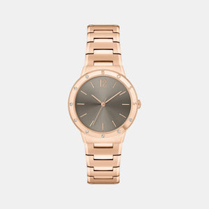 Breath Women Quartz Brown Dial Analog Stainless Steel Watch 1502651