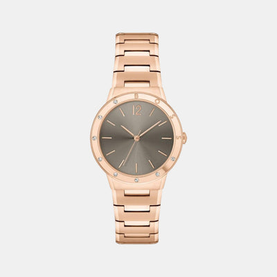 Breath Women Quartz Brown Dial Analog Stainless Steel Watch 1502651