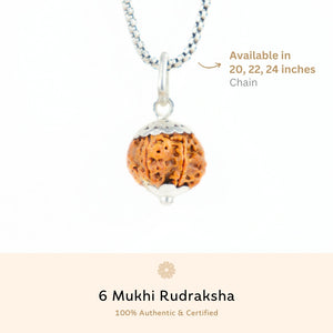 Silver Capping 6 Mukhi Rudraksha Pendant With Chain  ( Nepali )