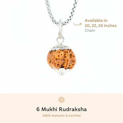 Silver Capping 6 Mukhi Rudraksha Pendant With Chain  ( Nepali )