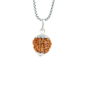Silver Capping 7 Mukhi Rudraksha Pendant With Chain  ( Nepali )