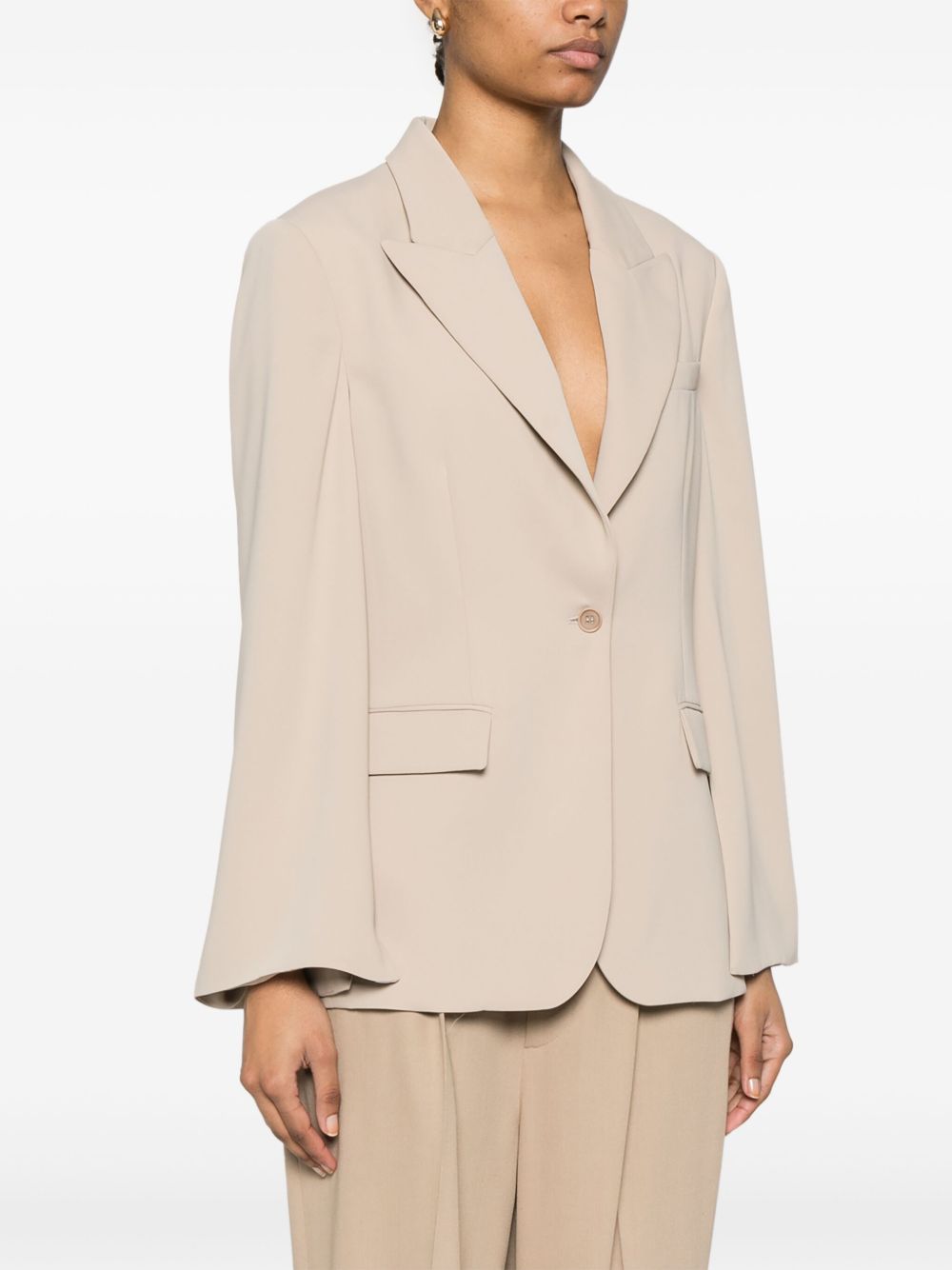 Parosh P.A.R.O.S.H. Single-Breasted Blazer