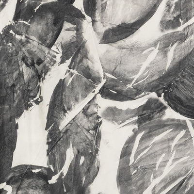 Alysi Printed Silk Scarf