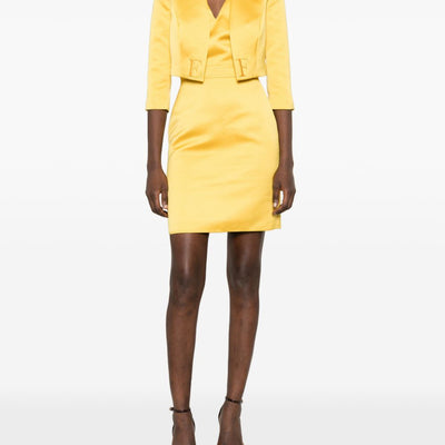 Elisabetta Franchi V-neck Midi dress
