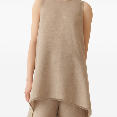 Fabiana Filippi Asymmetric top