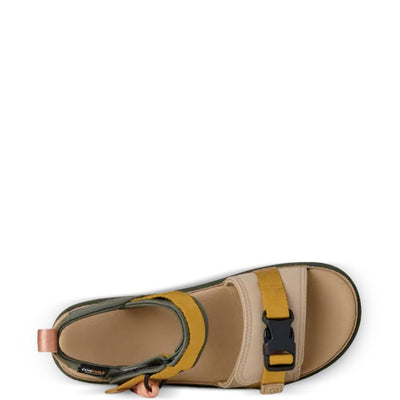 Ugg Goldenstar Wildwood sandals