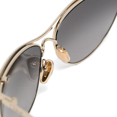 Chloé ChloÃ© These glasses come with a protective case