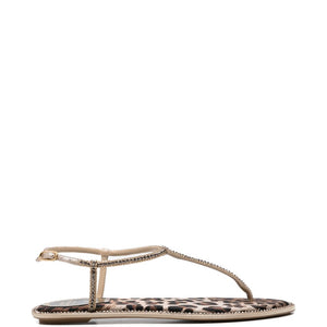 René Caovilla Sandals