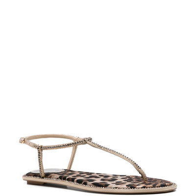René Caovilla Sandals