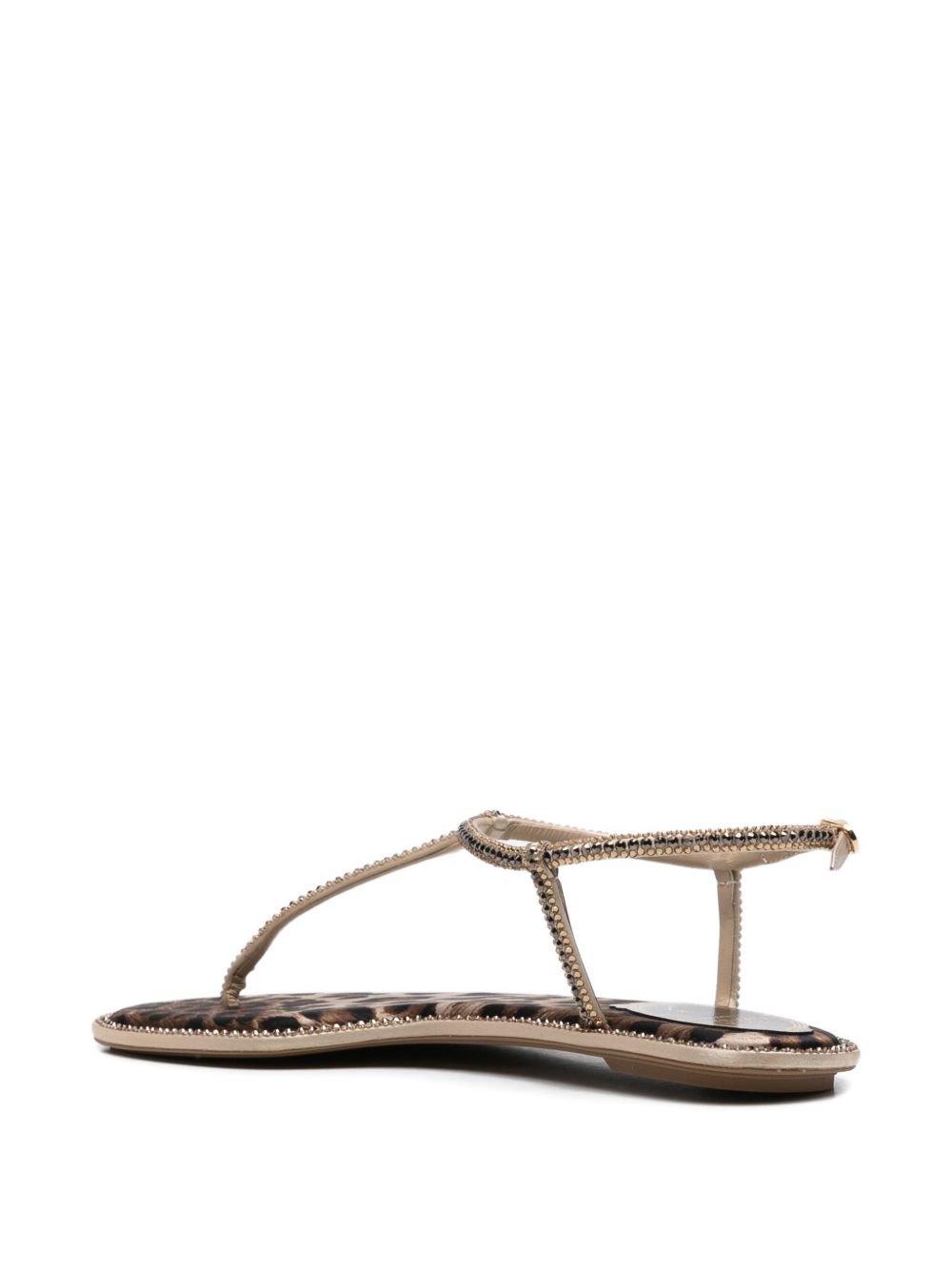 René Caovilla Sandals