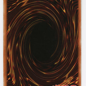 Amazoness Chain Master - RP01-EN097 - Secret Rare - Unlimited - Scan 14016