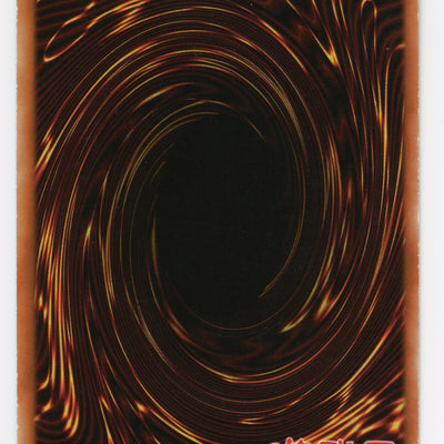 Amazoness Chain Master - RP01-EN097 - Secret Rare - Unlimited - Scan 14016