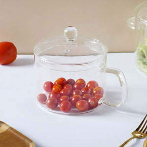 Glass Stock Pot
