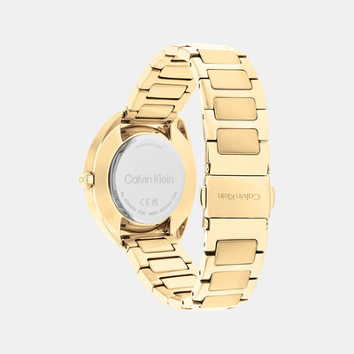 Ck Adorn Women Quartz White Dial Analog Stainless Steel Watch 25200276