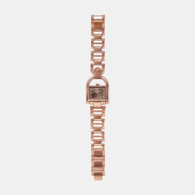 Harwell Women Quartz Brown Dial Analog Stainless Steel Watch ES5328