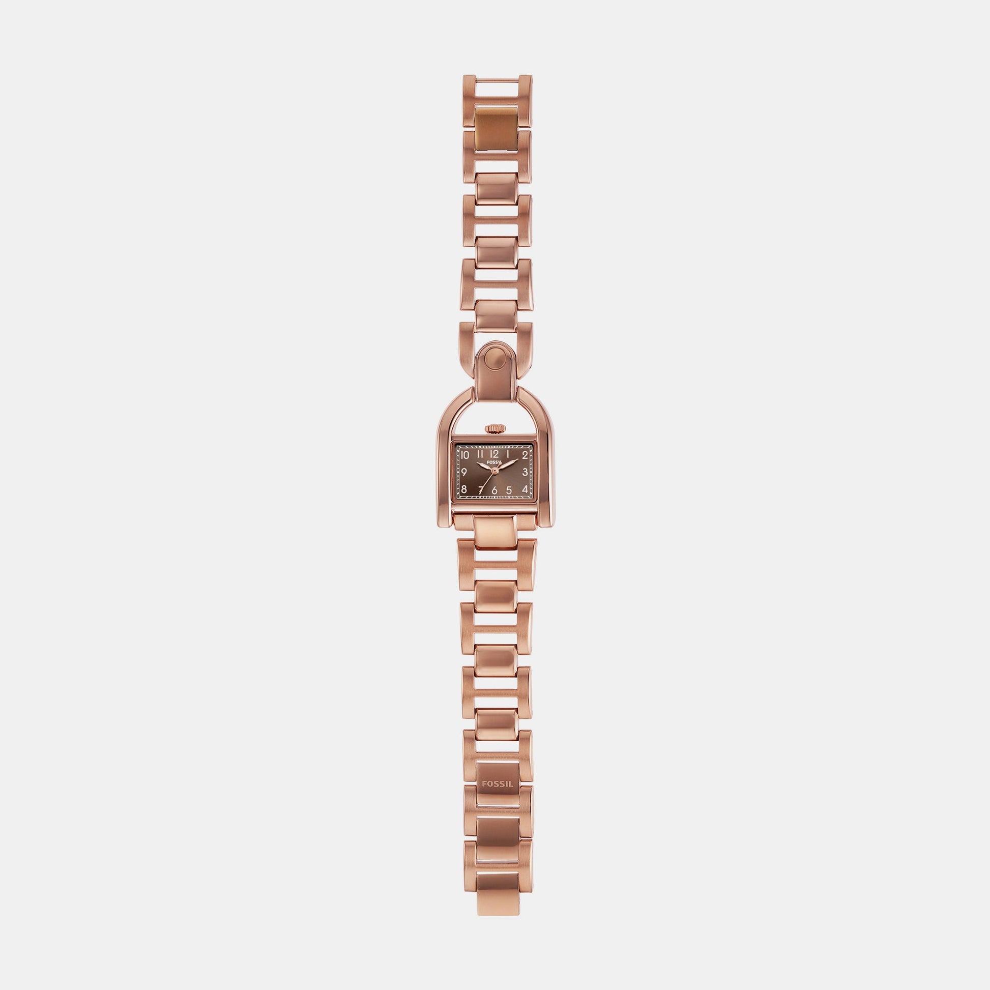Harwell Women Quartz Brown Dial Analog Stainless Steel Watch ES5328
