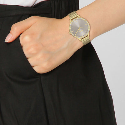 Flash Women Quartz Grey Dial Analog Mesh Watch 1540116