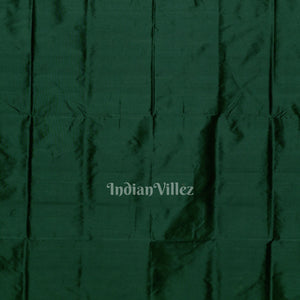 Green Grey Pasapali Theme Sambalpuri Silk Saree