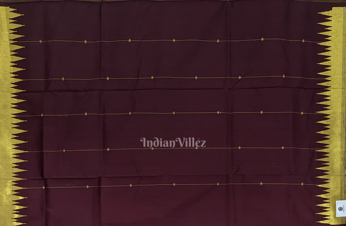 Coffee with Golden Phoda Kumbha Sambalpuri Silk Saree with Zari (Tissue)