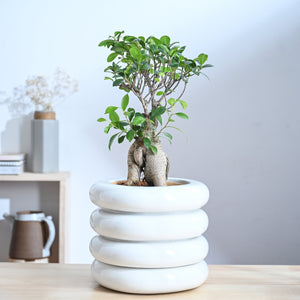 Tiny Kisses Ceramic Planter