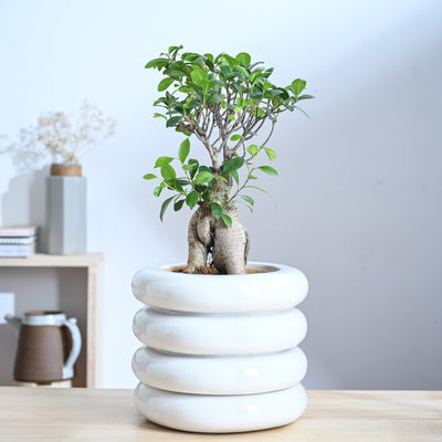 Tiny Kisses Ceramic Planter