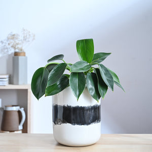 Twilight Clouds Ceramic Planter