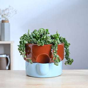 Flower Sunflower Ceramic Planter