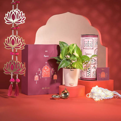 Good Vibes Diwali Gift Hamper