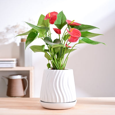 Fallen Angel Ceramic Planter