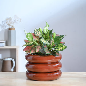 Tiny Kisses Ceramic Planter