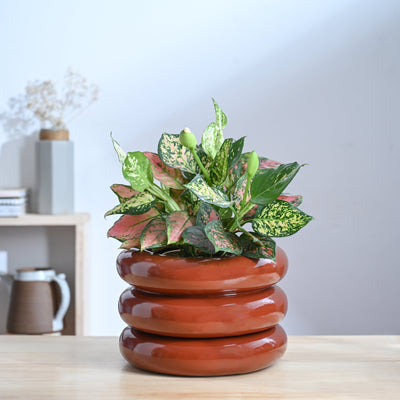 Tiny Kisses Ceramic Planter