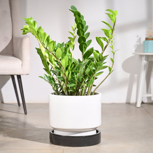 Soothing Rains Ceramic Planters