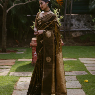 Dark Olive Handloom Silk Cotton Saree With Veldari stripes