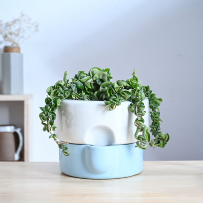 Flower Sunflower Ceramic Planter