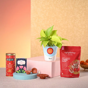 Money Plant Golden & Bombay Sweet Shop Diwali Gift Hamper